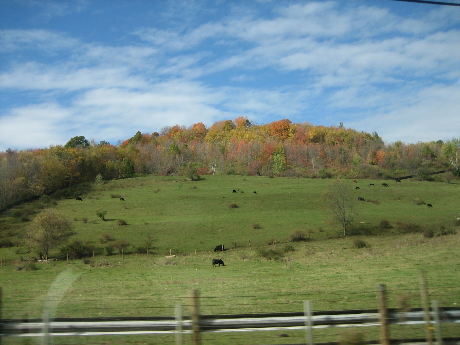 Kick's Travels Rock City Falls to Elizaville, NY