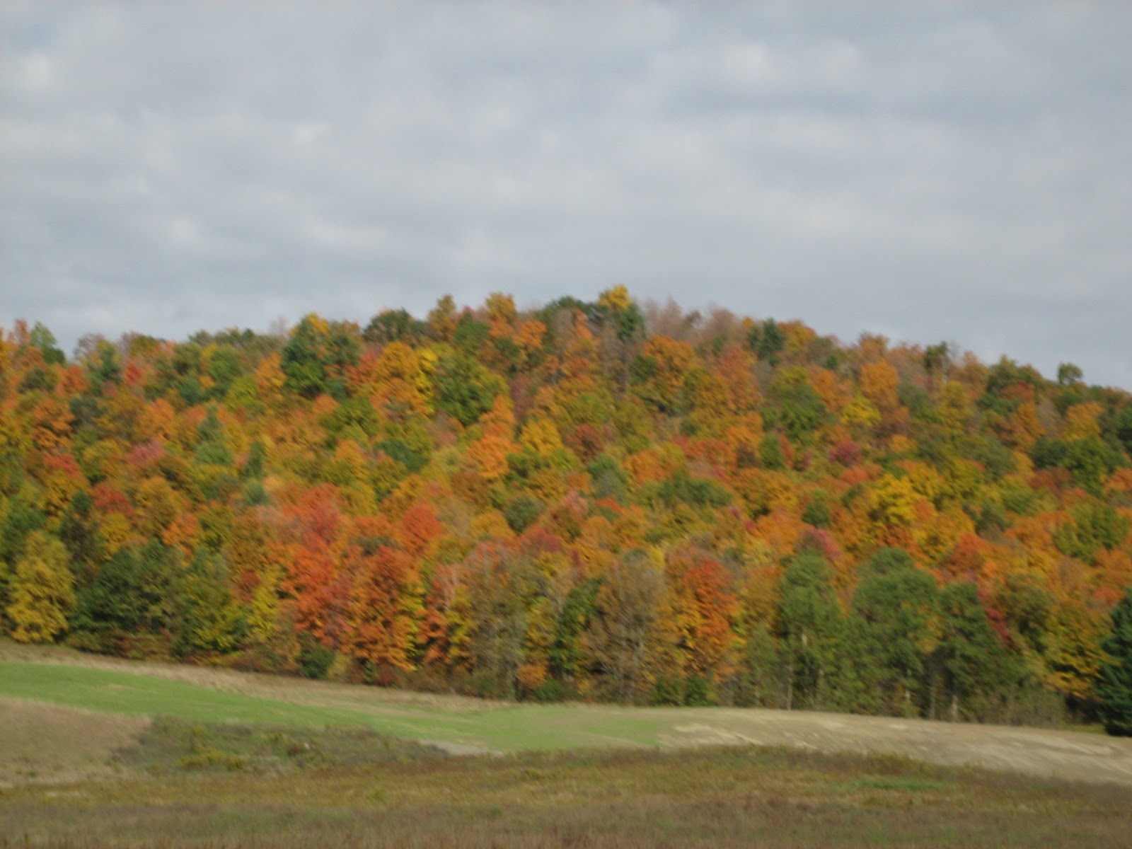 Kick's Travels Rock City Falls to Elizaville, NY