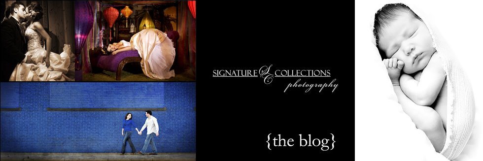 Signature Collections Photography Blog