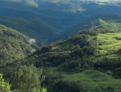 Campo do Brasil