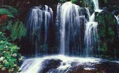 Cachoeira Mata Atãntica