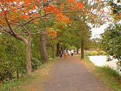 Caminhada pelo Parque Sabia Uberlândia