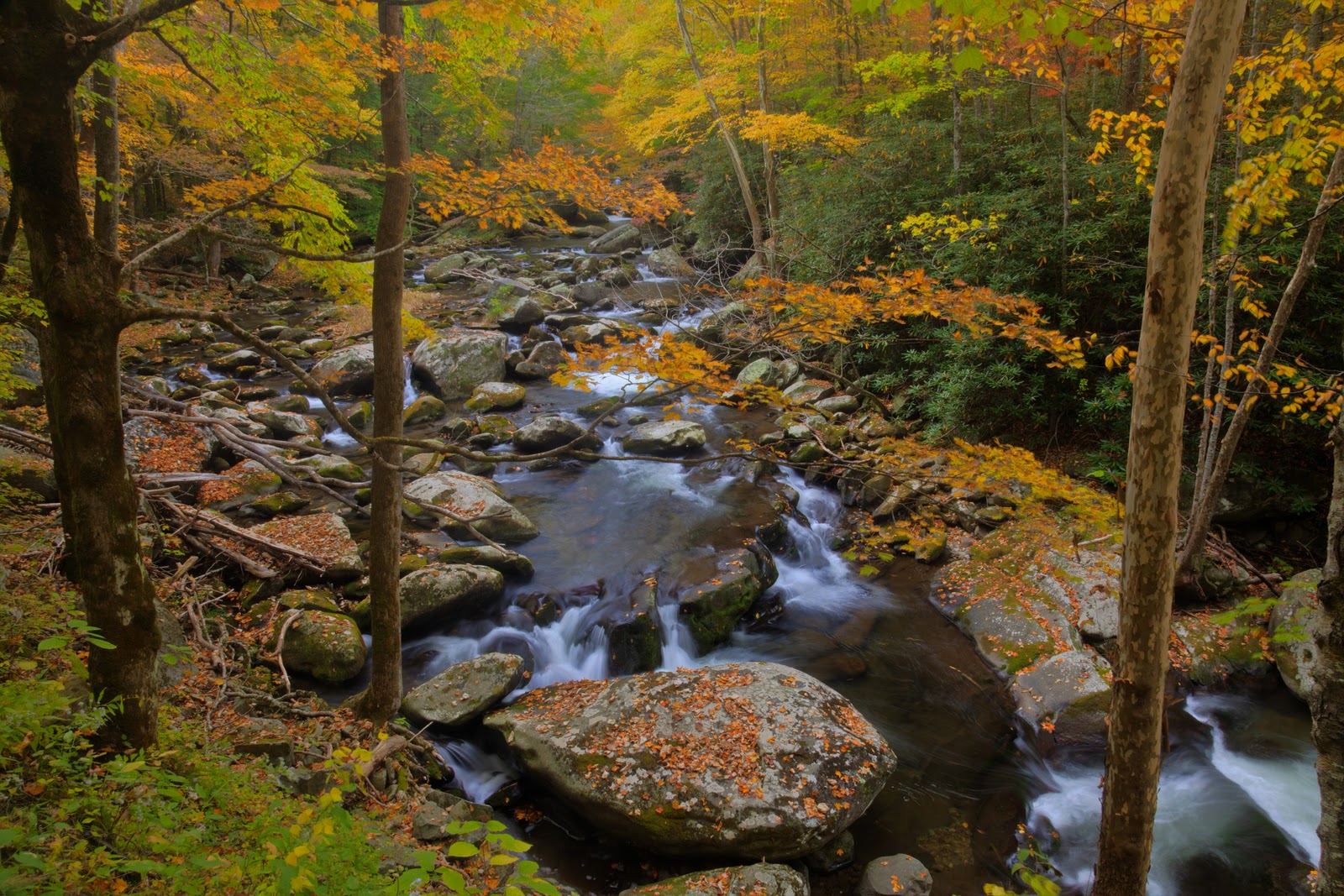 Digital Imagery by Bill Starr Fall Color and our week in Tennessee