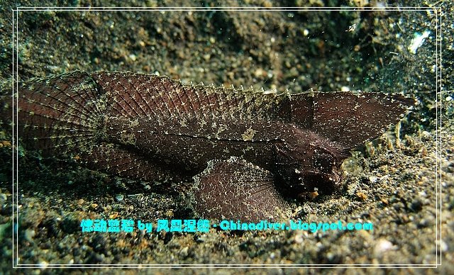 [IMG_2176.jpg]