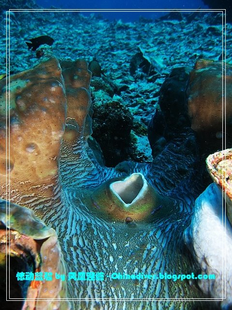[IMG_2884.jpg]