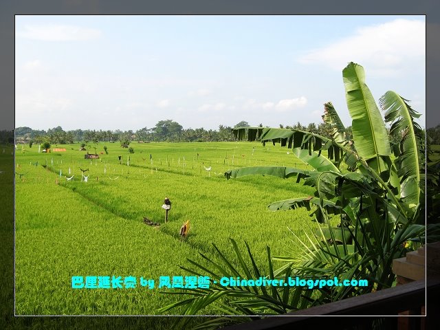 [IMG_1627.jpg]