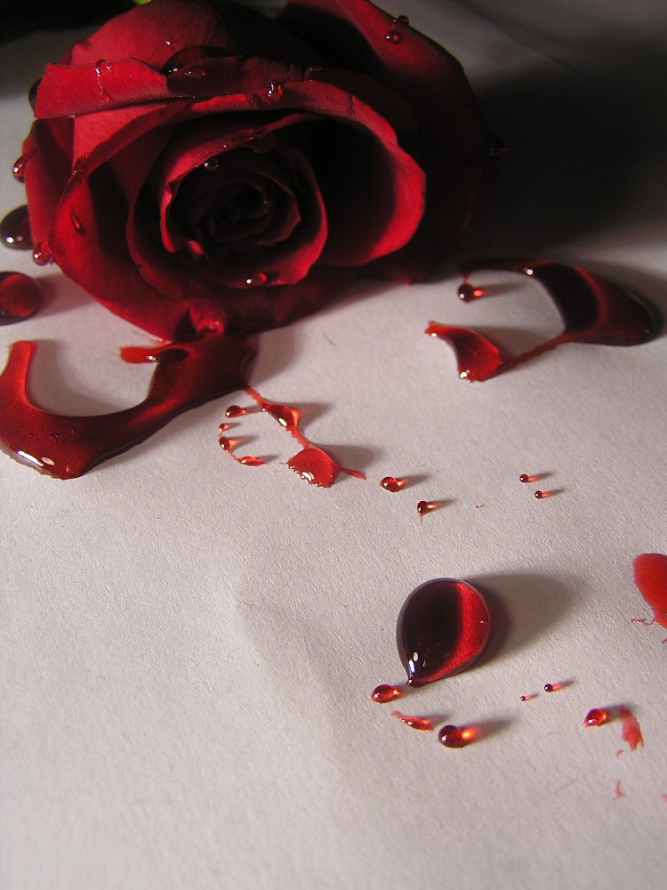 bleeding_red_rose_4_by_UrDisasterousStock.jpg