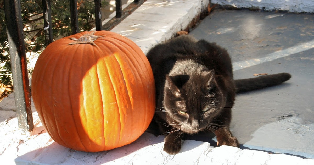 Le Piu Belle Feste Di Halloween In Giro Per L Italia Girovagate Idee Di Viaggio