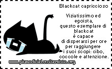 Il mio Blackcat capriccioso!!