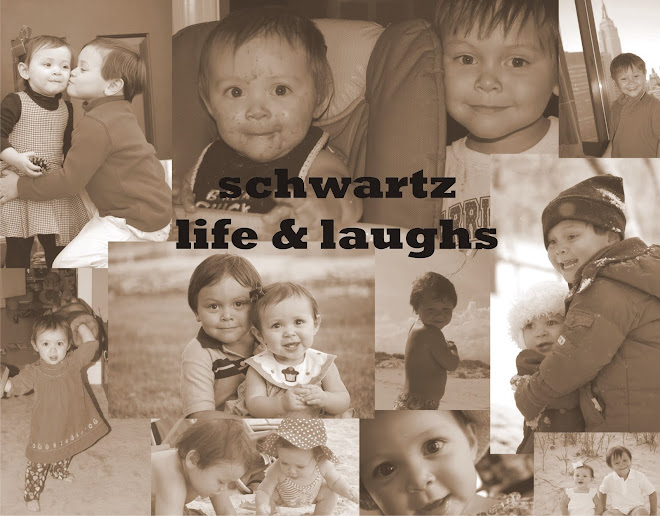 Schwartz Life and Laughs