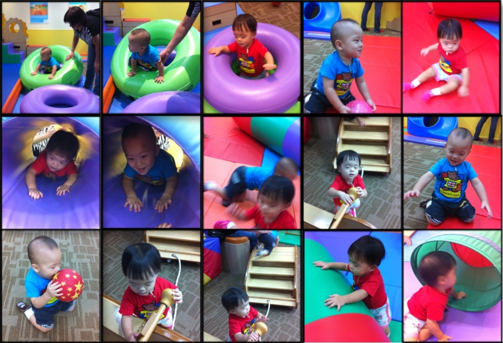 The Little Bays Gymboree Playgym