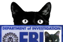 Cat Secret Secret cat by jcdr on newgrounds