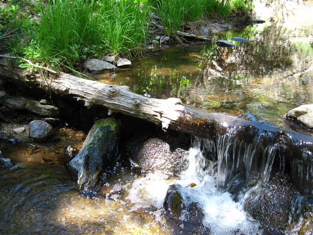 Camping at Mt. Graham