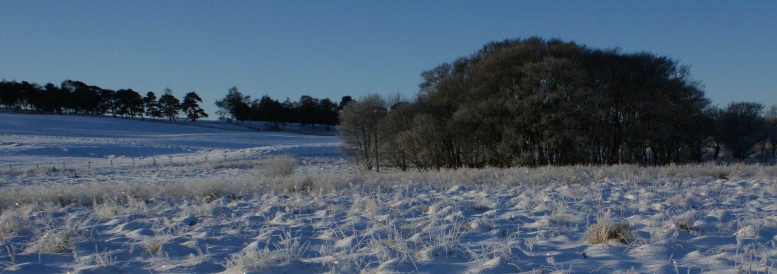 [January+8th+Photograph+Frosty+Scotland+03.jpg]