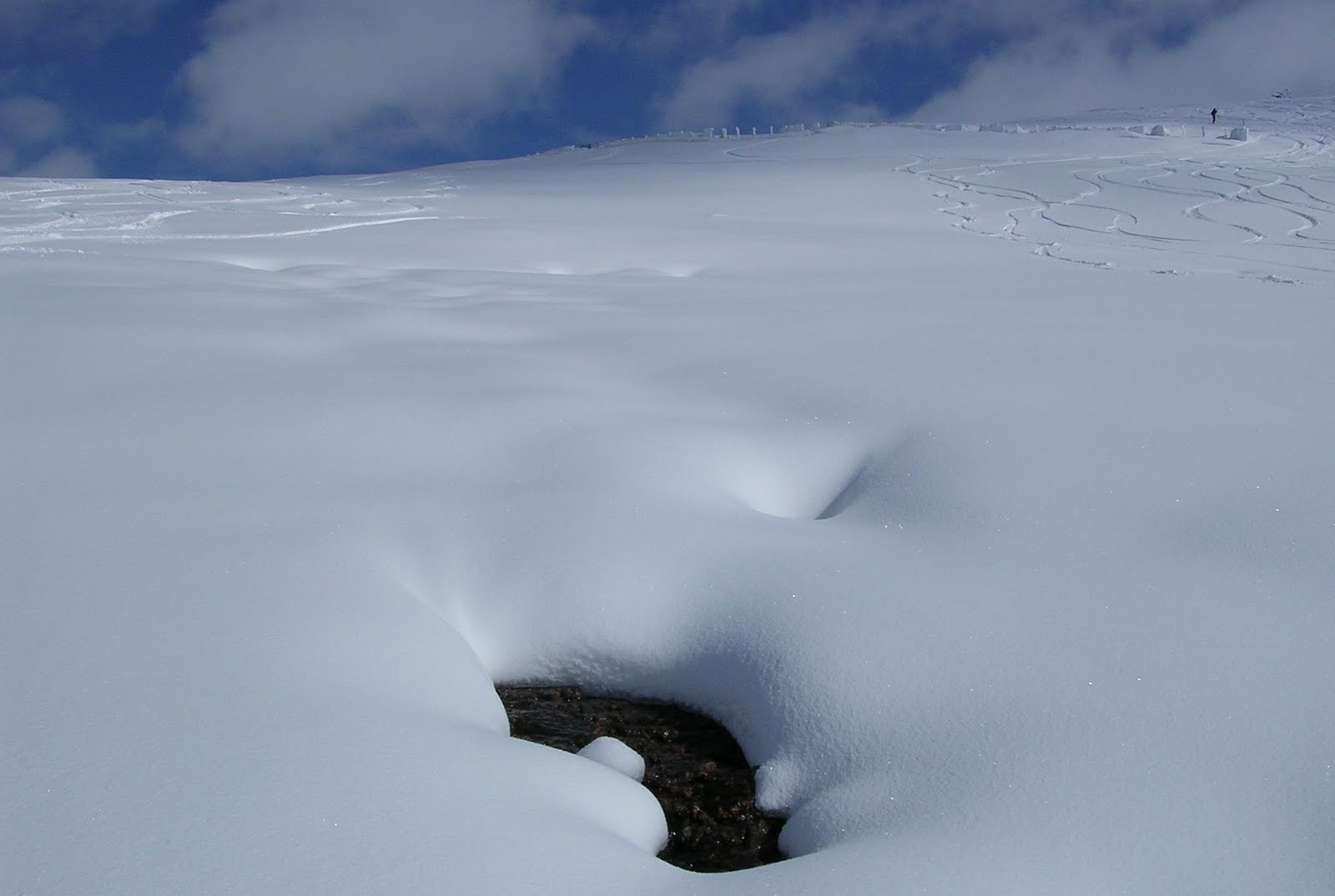 [Photograph+Melting+Snow+Scotland.jpg]