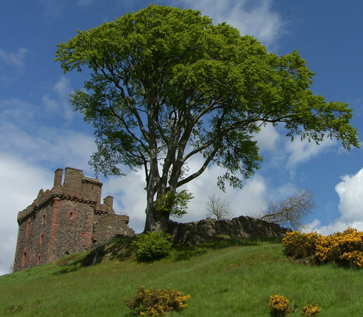 [May+Photograph+Balvaird+Castle+Scotland.jpg]