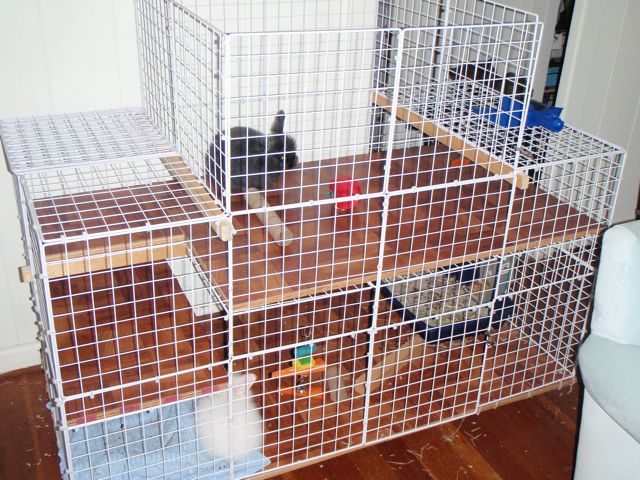 Joan Goes Green: Rabbit cage using storage cubes