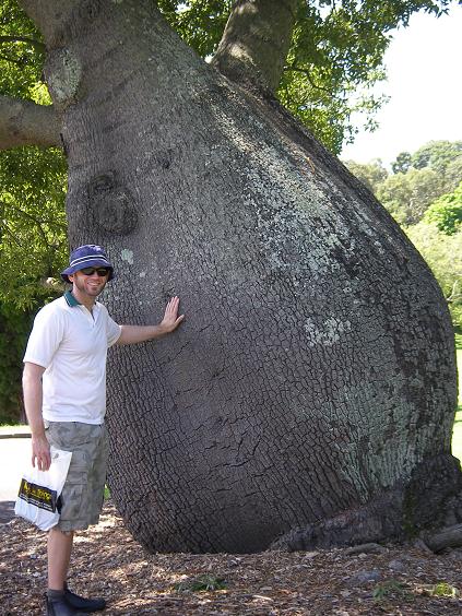 [P3150026.JPG]