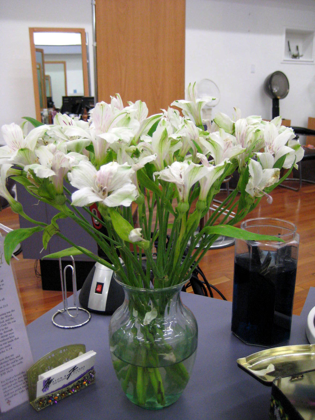 [August+2008+070.jpg]