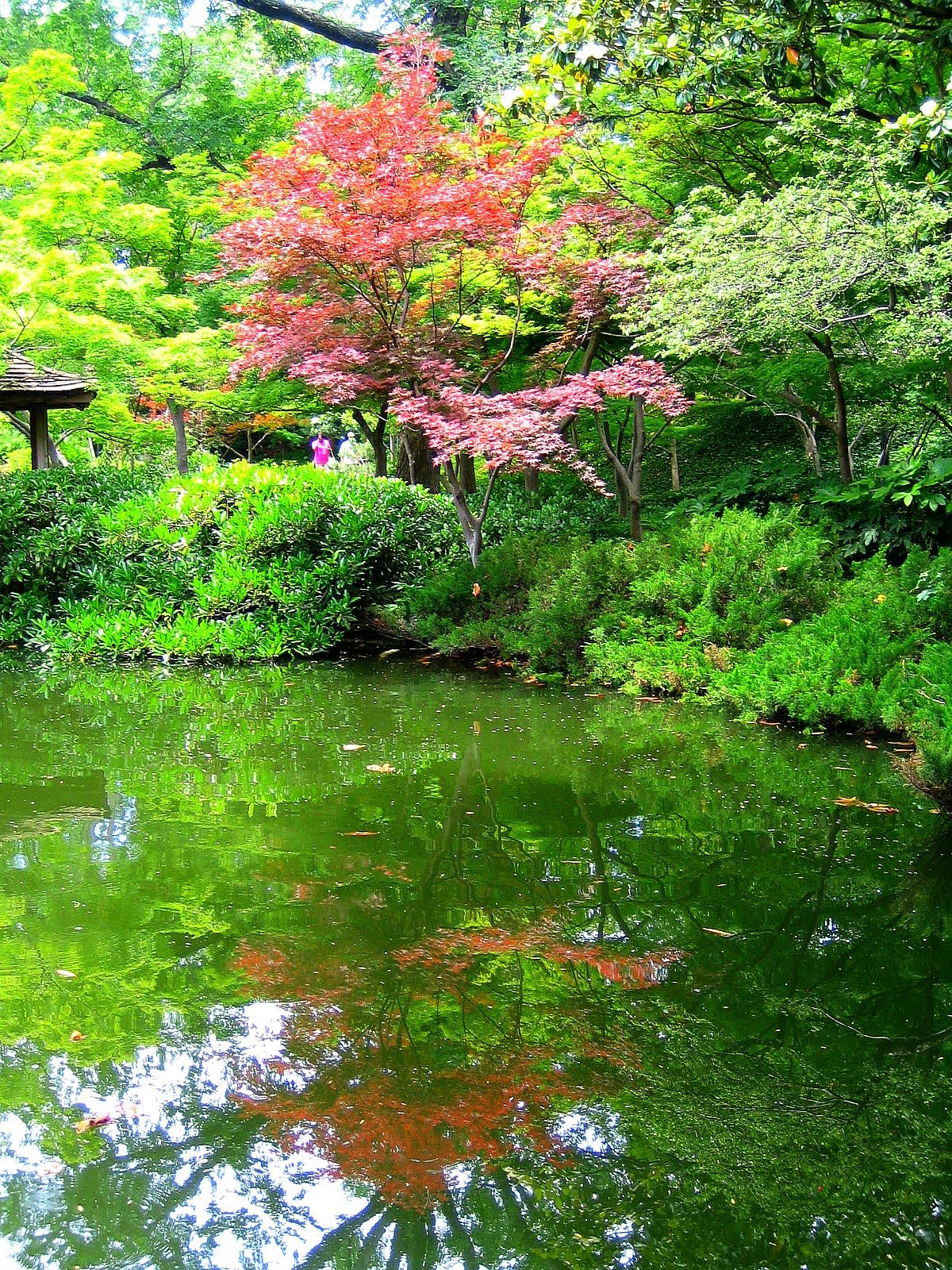 [botanical+garden+reflection.jpg]