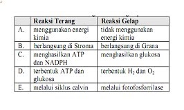 Fájhatnak-e az ízületek az élősködők miatt