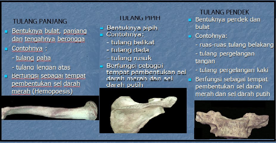 tulang makabayan Di naman siguro lingid sa ating kaalaman ang tulang itoang tula na lagi nating tinutula sa tuwing kaumagahan sa kanya kanyang eskwelahan sa elementaryangayon, nasa ibaba ang tulang makabayan. tulang makabayan Di naman siguro lingid sa ating kaalaman ang tulang itoang tula na lagi nating tinutula sa tuwing kaumagahan sa kanya kanyang eskwelahan sa elementaryangayon, nasa ibaba ang tulang makabayan.