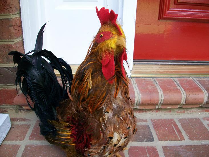 [clucker.JPG]