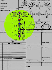 Ficha de diagnostico por  bioenergia
