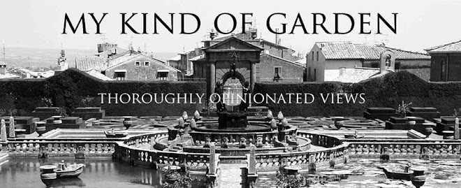 MY KIND OF GARDEN