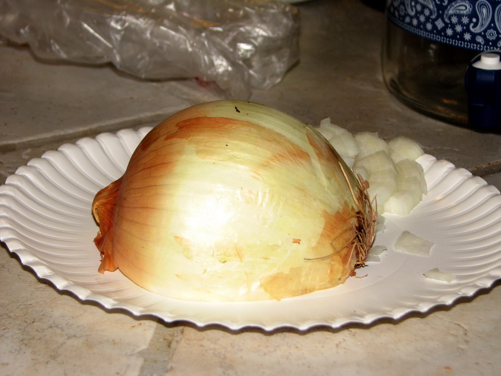 [How+To+Chop+An+Onion+One.jpg]
