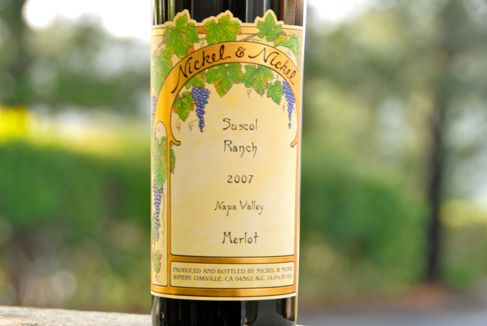 THE POLLIN'S WINE PROJECT