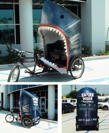 [discoverysharktuktuk.preview.jpg]