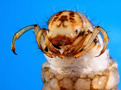 [12201_2_Parais.jpg]