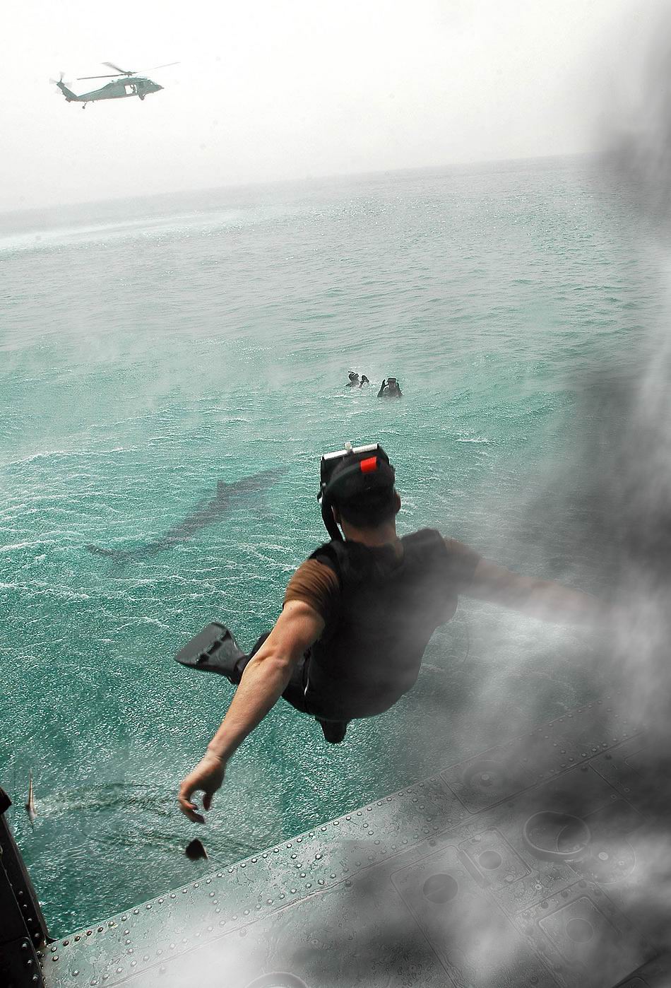 [sharkdiver.jpg]