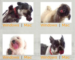 [--mcmorran.org--Free+screen+cleaner+screensavers_1229743287516.png]