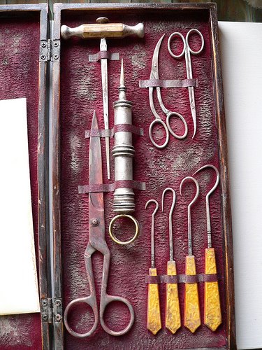 [3079421567_01105776c2.jpg]