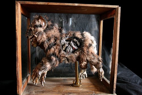 [3280560727_46d3bfec5d.jpg]