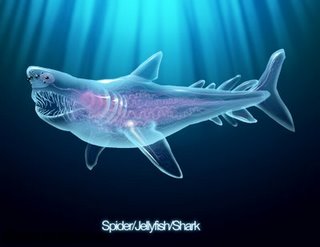 [sharkspiderjellyfishsmall.jpg]