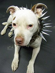 [285683392_d28c930ac5_m.jpg]