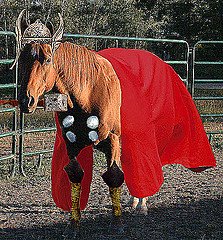 [thorse.jpg]