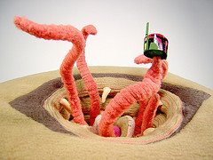 [3662090365_5ca83a29fa_m.jpg]