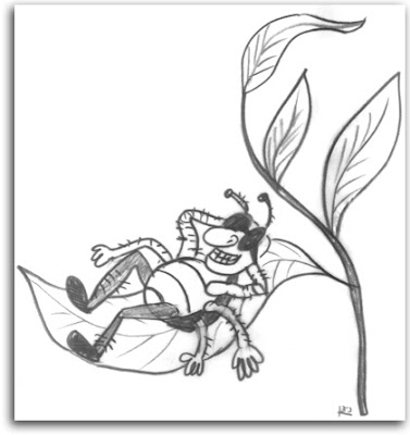 פקאנים (איור) פקאנים (איור)