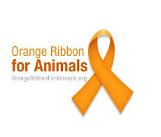 Orange Ribbon for Animals