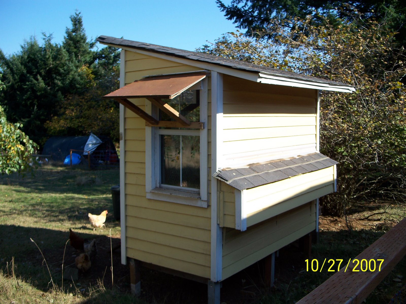 Free Chicken Coop Plans - build a coop for less money
