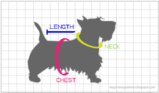How to measure your dog for clothing