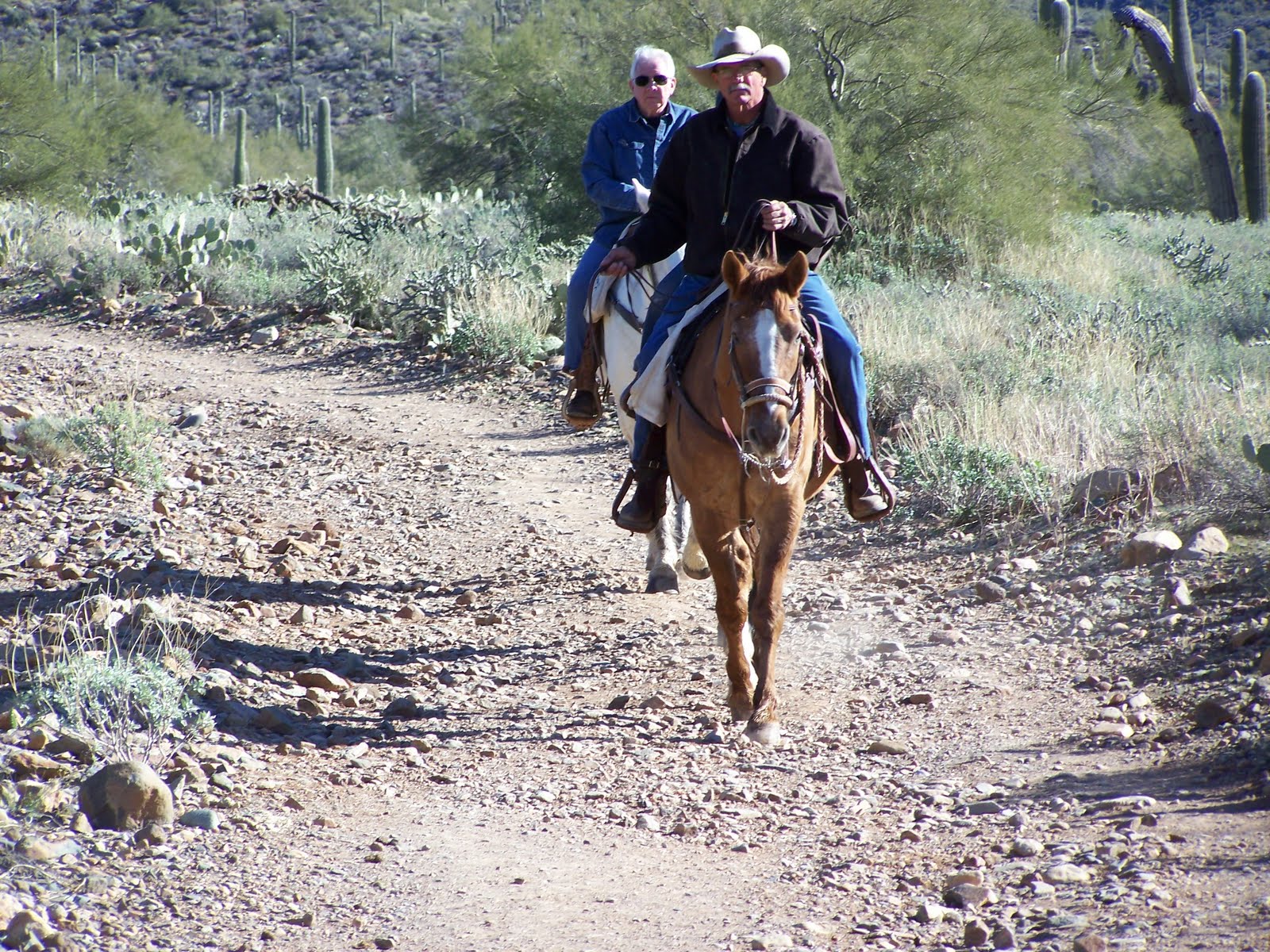 Up to Speed: Spur Cross Ranch