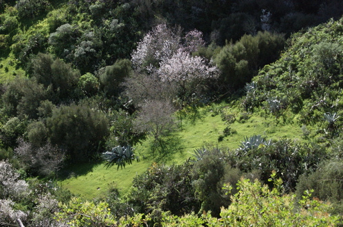 Wandern Nationalpark Bayerischer Wald Wanderung Bohmerwald