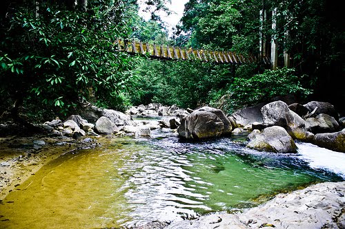 Keindahan Terengganu HUTAN LIPUR SUNGAI CHEMERONG Keindahan Terengganu HUTAN LIPUR SUNGAI CHEMERONG