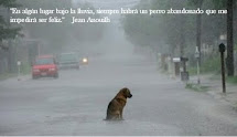 "En algún lugar bajo la lluvia, siempre habrá un perro abandonado que me impedirá ser feliz."