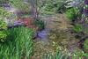 Monet Garden at Lewis Ginter